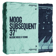 Moog Subsequent 37 : Melodic House & Techno Presets 2