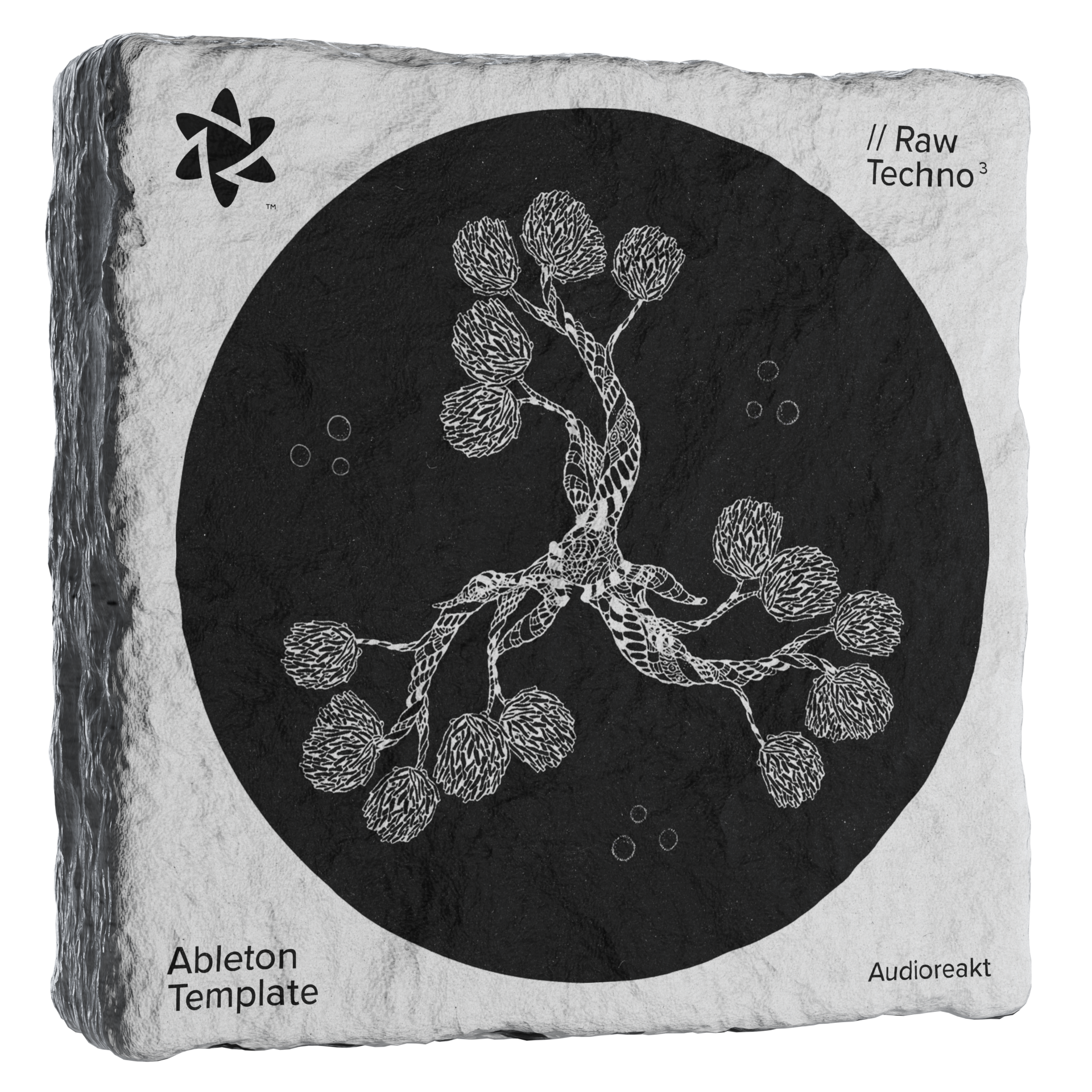 Raw Techno 3 Ableton Template (Live11)
