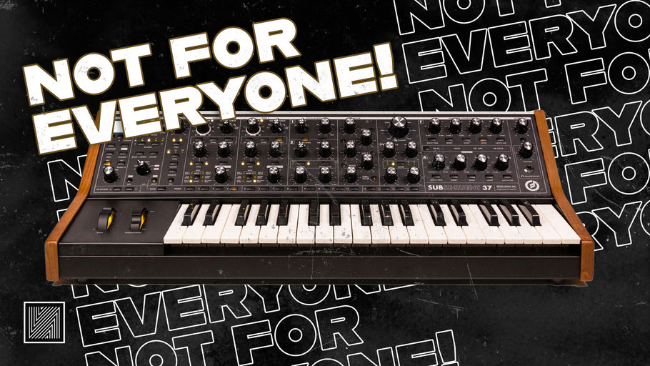 Moog Subsequent 37 : Not for Everyone (1 year review)