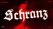 SCHRANZ TECHNO TUTORIAL PROJECT FILE (LIVE12)