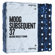 MOOG Subsequent 37 : Melodic House & Techno Presets