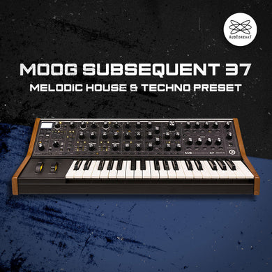 MOOG Subsequent 37 : Melodic House & Techno Presets